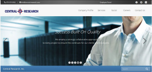 Hemsing Designs web hosting