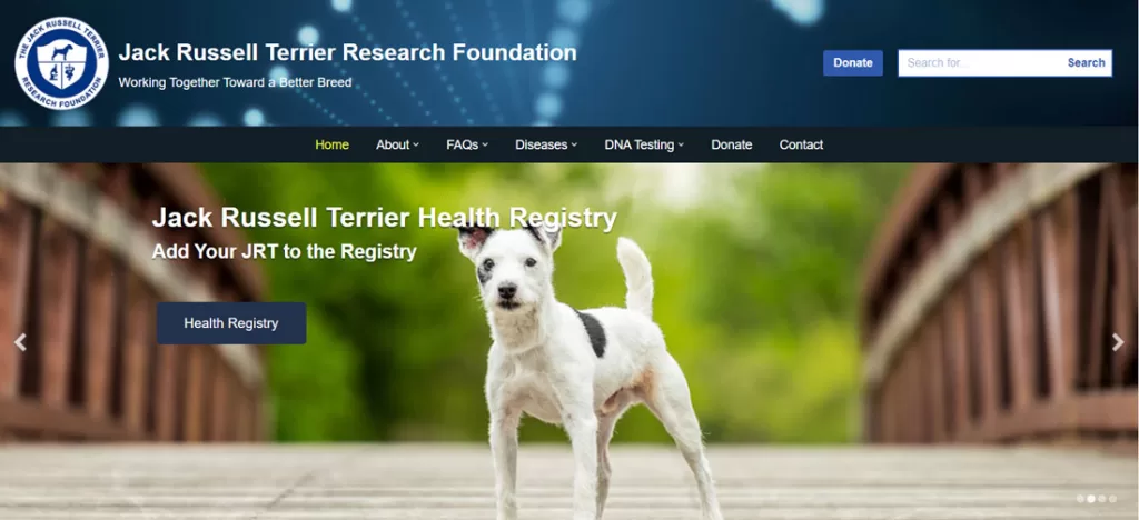 JRTRF - Jack Russell Research Foundation