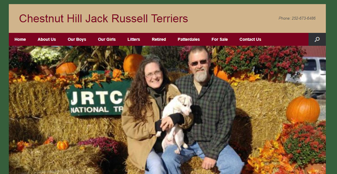 chestnut hill jack russell terriers