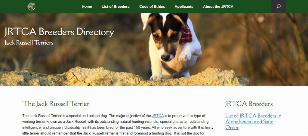 JRTCA Breeders - Hemsing Designs